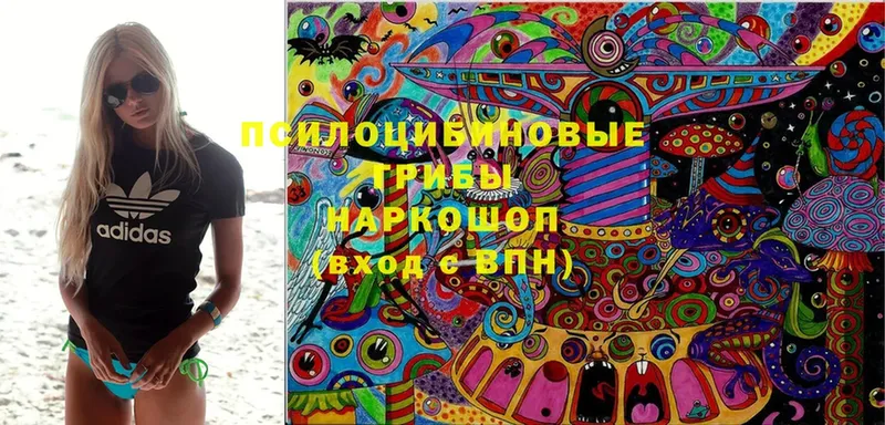 Псилоцибиновые грибы MAGIC MUSHROOMS  Нефтегорск 